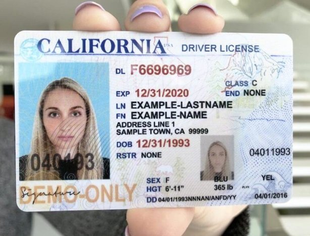 Fake Drivers License: What You Need to Know