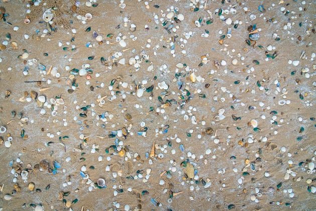 What Makes Terrazzo Flooring a Timeless Statement of Elegance and Durability?