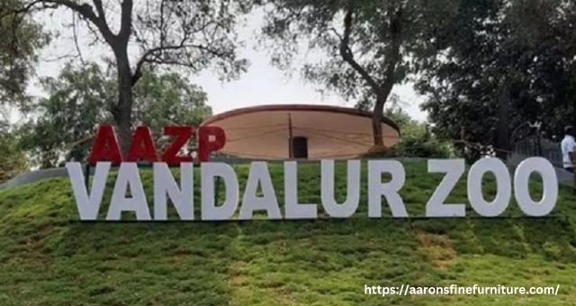 Vandalur Zoo: Best Experience To Wildlife
